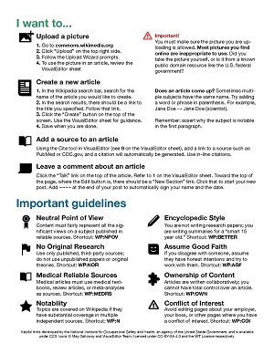 Wikipedia Guidelines