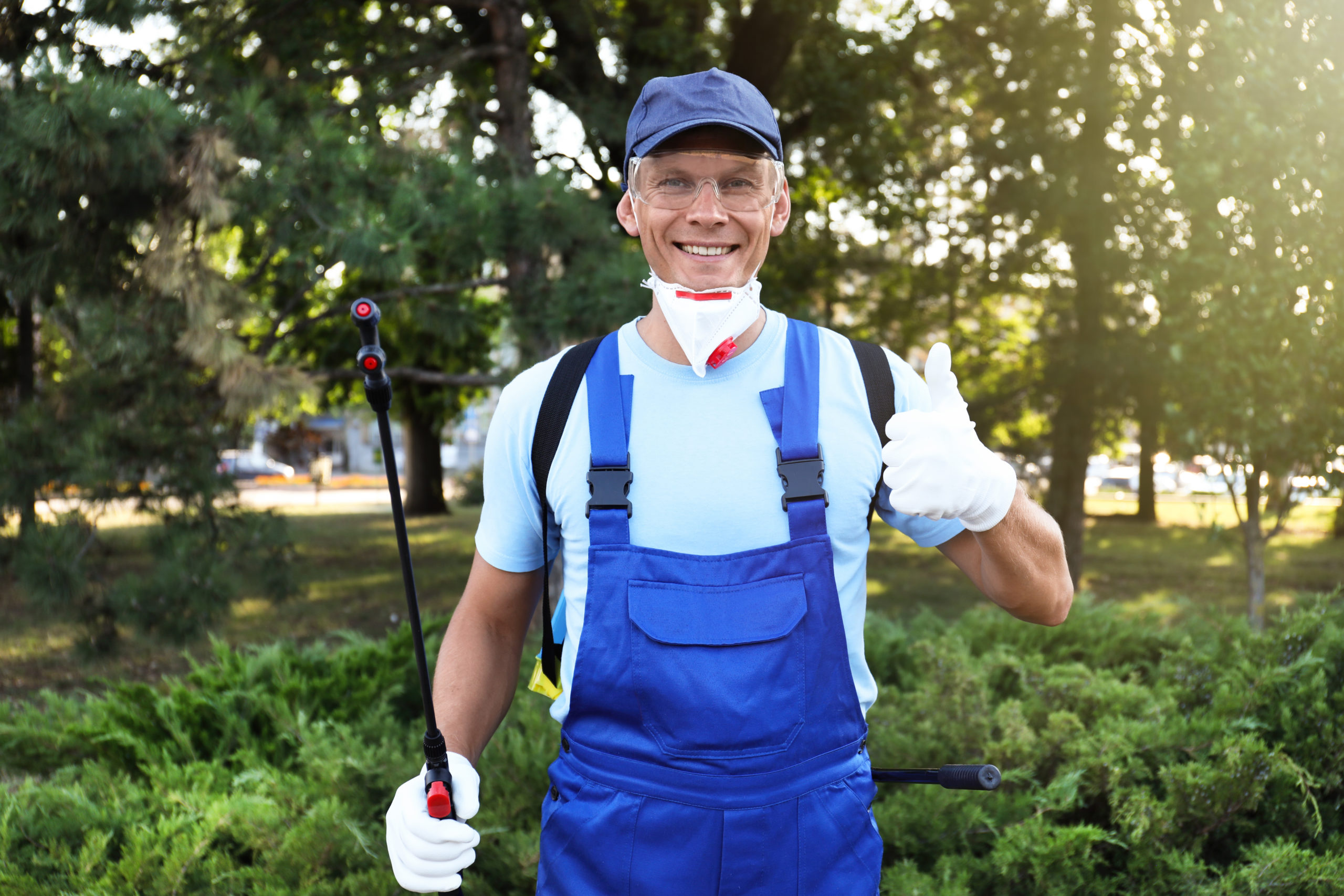 Worker with insecticide sprayer near green bush outdoors. Pest control